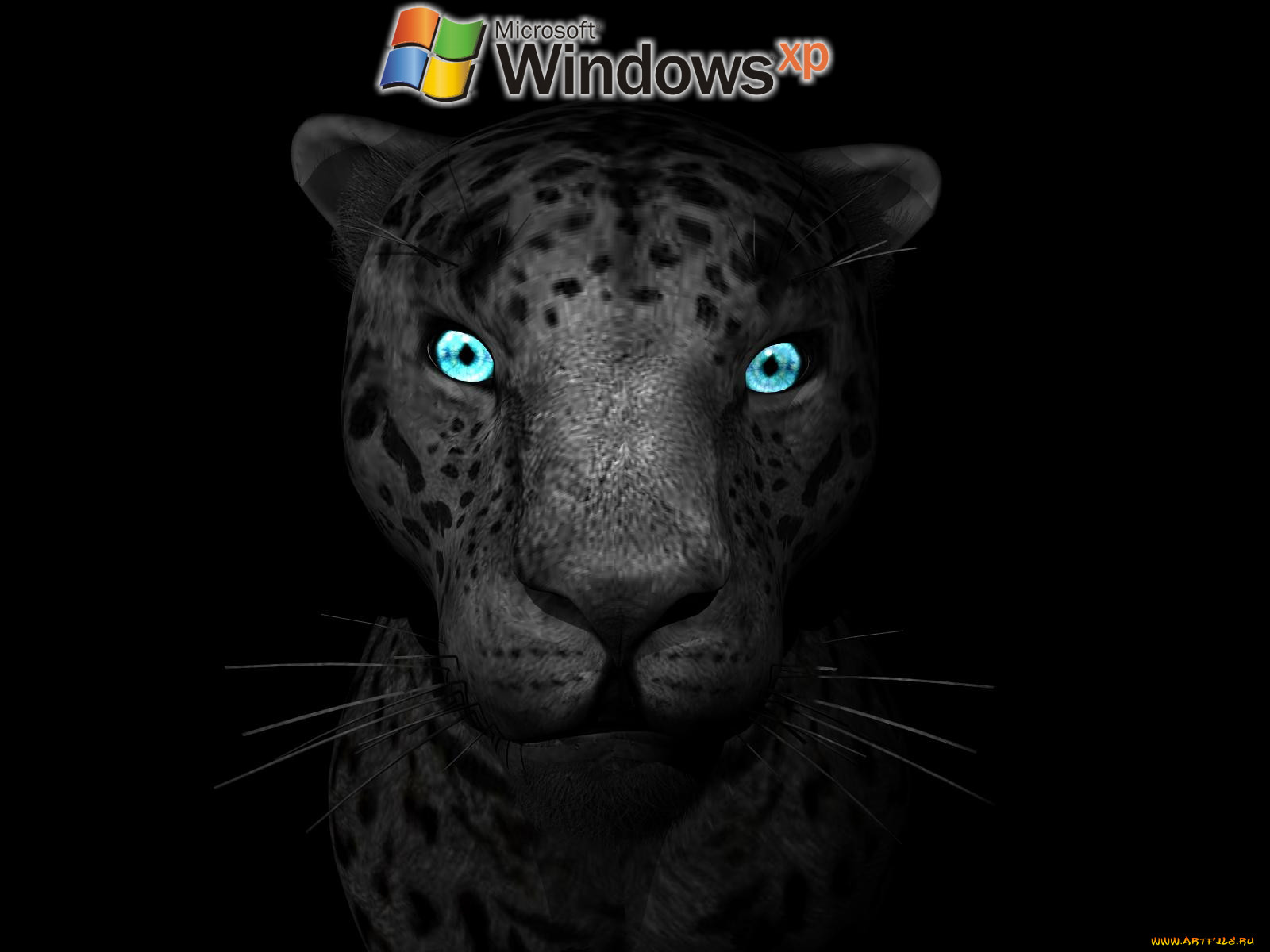 , windows, xp